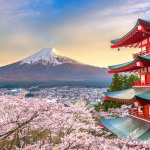 Honeymoon in Japan