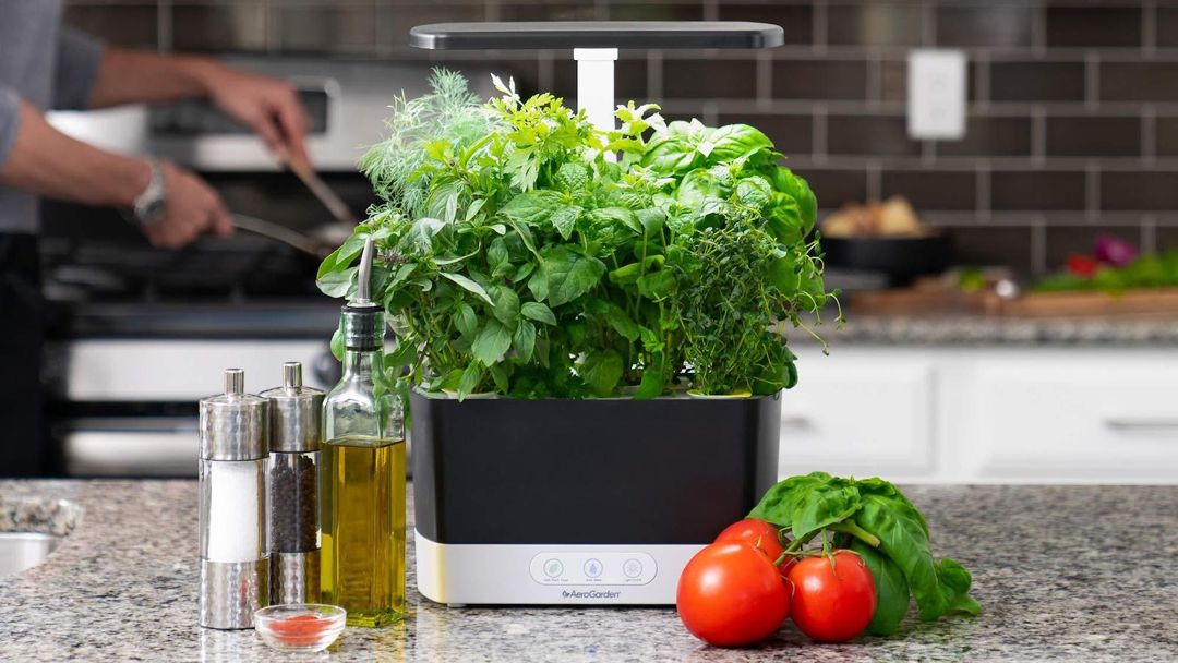 Indoor hydroponic garden