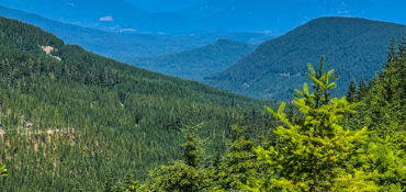 Explore the Gifford Pinchot near Toledo, WA