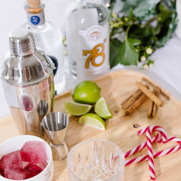 Summer Cocktail Bar Accessories | Minimax