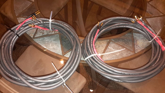 Audioquest Type 6 Speaker Cable Biwire