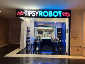 Tipsy Robot at the Venetian