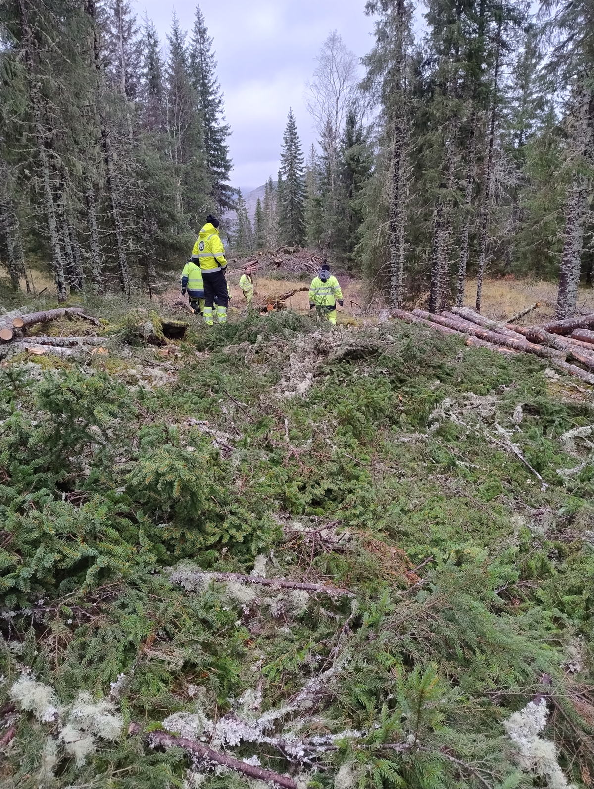 Landstrøm forflåte