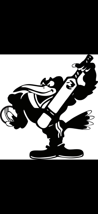 East Bundaberg Cricket Club Cricket Club Logo