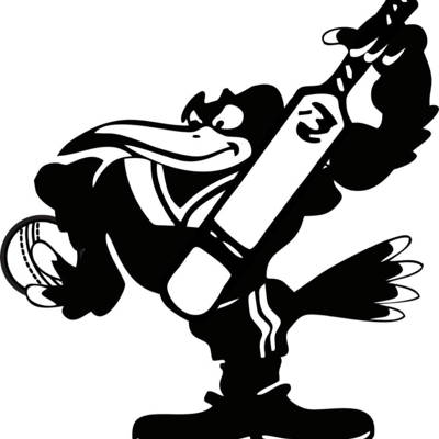 East Bundaberg Cricket Club Logo
