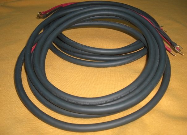 DH LABS SILVER SONIC Q10 SPEAKER CABLES *12 FOOT PAIR* ...