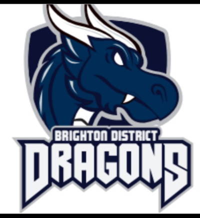 Brighton District Cricket Club Cricket Club Logo