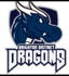 Brighton District Cricket Club logo