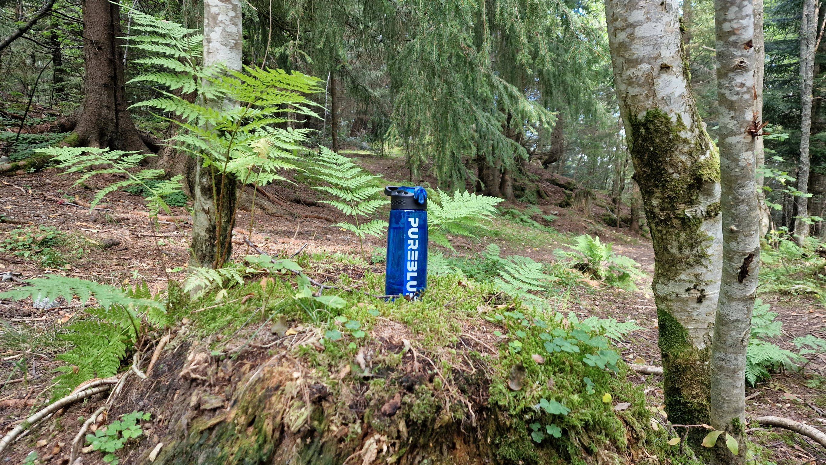 pureblue.io water bottle in a swedish forest