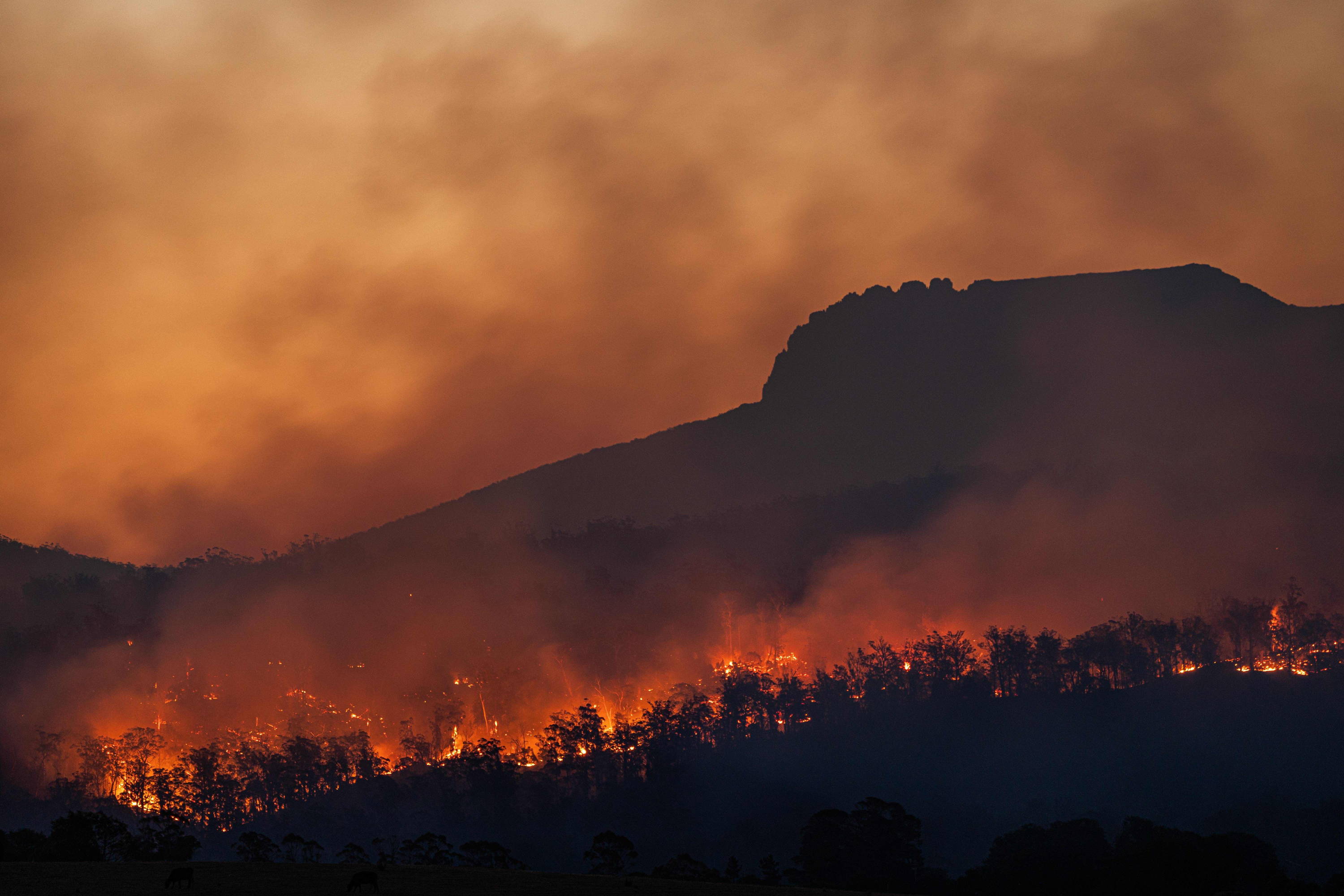 Black Friday is one of the most dangerous days for the environment, even though the economy may skyrocket. Learn how Black Friday impacts the earth and how you can create change.