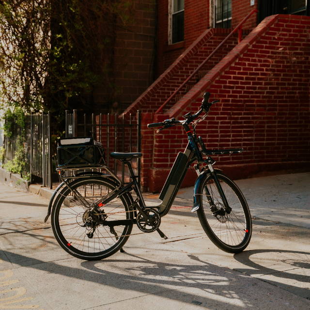 an electric Rad Power bike