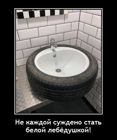 Не каждой суждено стать белой лебёдушкой!