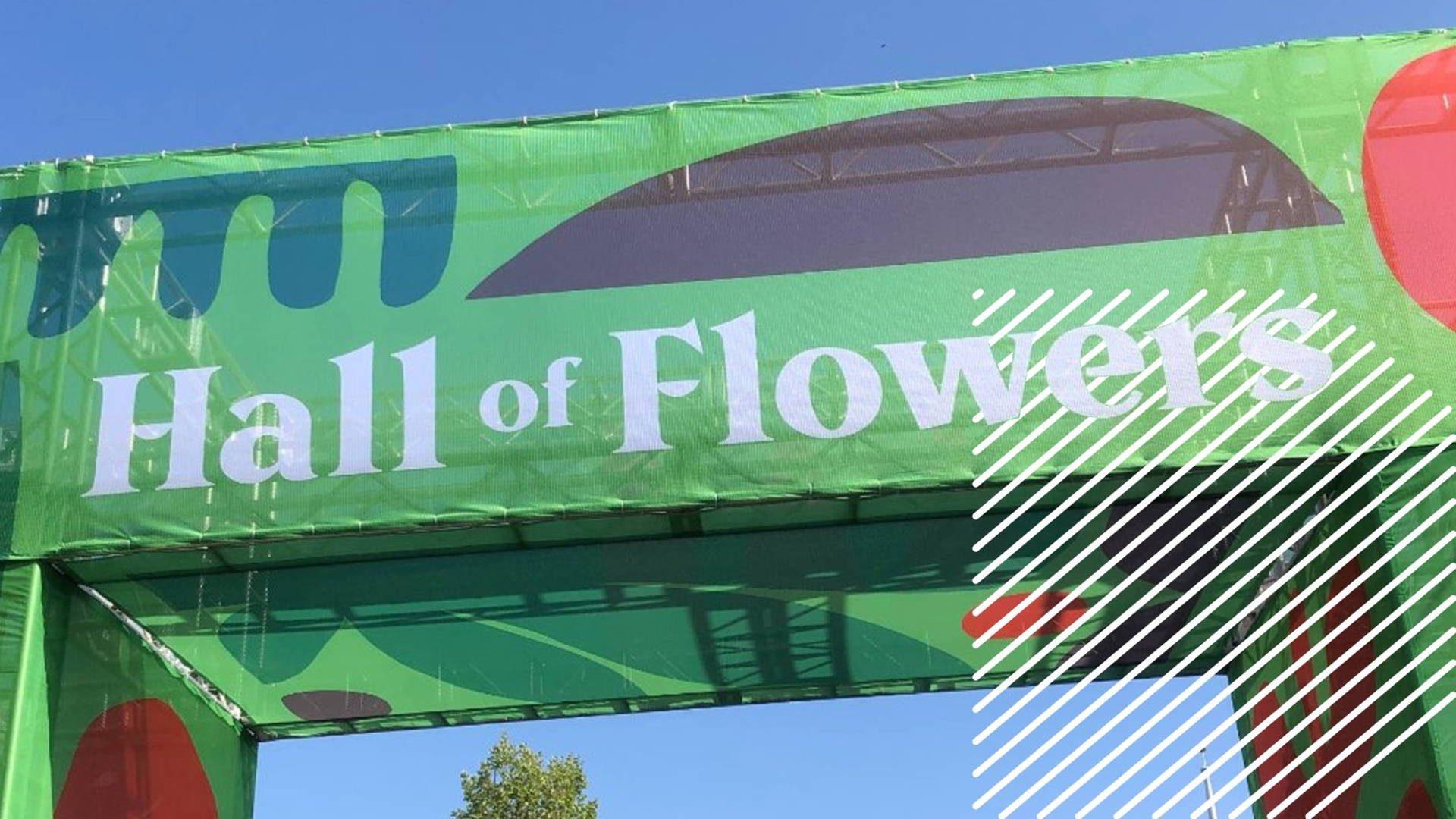 Featured image for The Top 13 Cannabis Brands We Saw At Hall Of Flowers