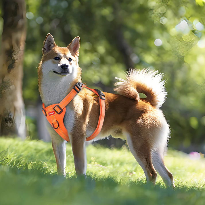 Orange Reflective Dog Harness with Leash, No-Pull Vest Harness for Dogs, Adjustable Dog Vest with Handle, Walking Training Pet Harness - Image 2