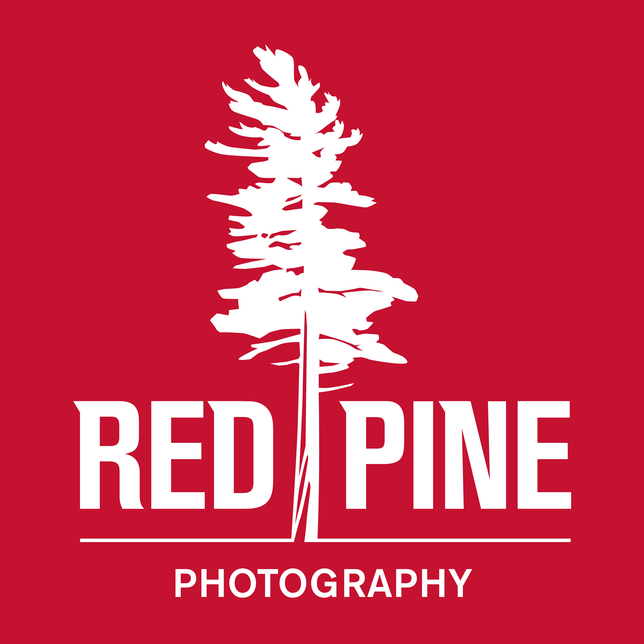 Red Pine Photography