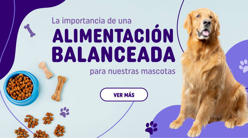 El mejor alimento para tu mascota - Productos