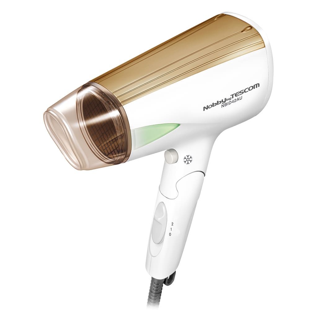 Ionic Travel Hair Dryer