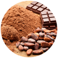 Cocoa beans and powder as a source of Prebiotics in the best probiotics in singapore