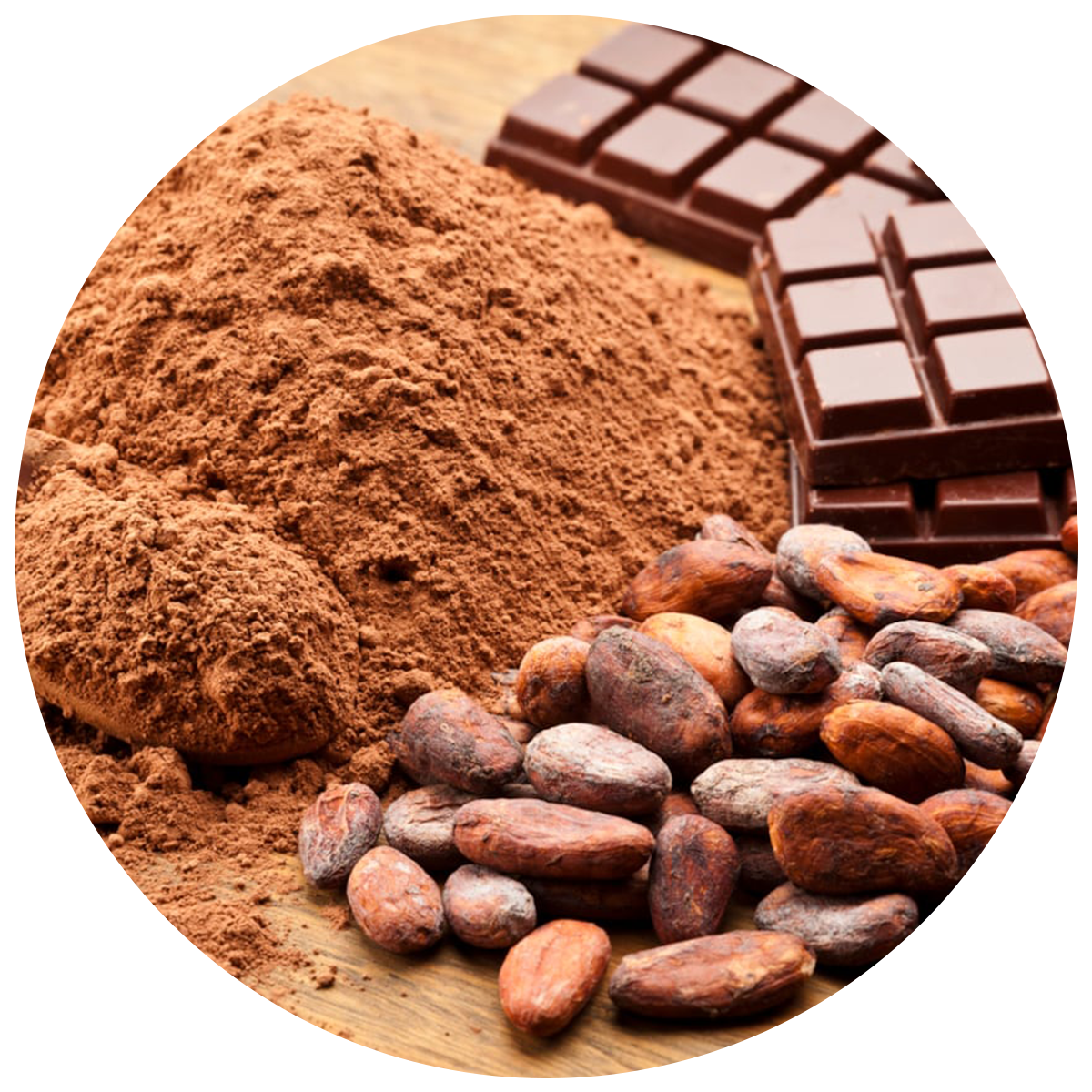 Cocoa beans and powder as a source of Prebiotics in the best probiotics in singapore