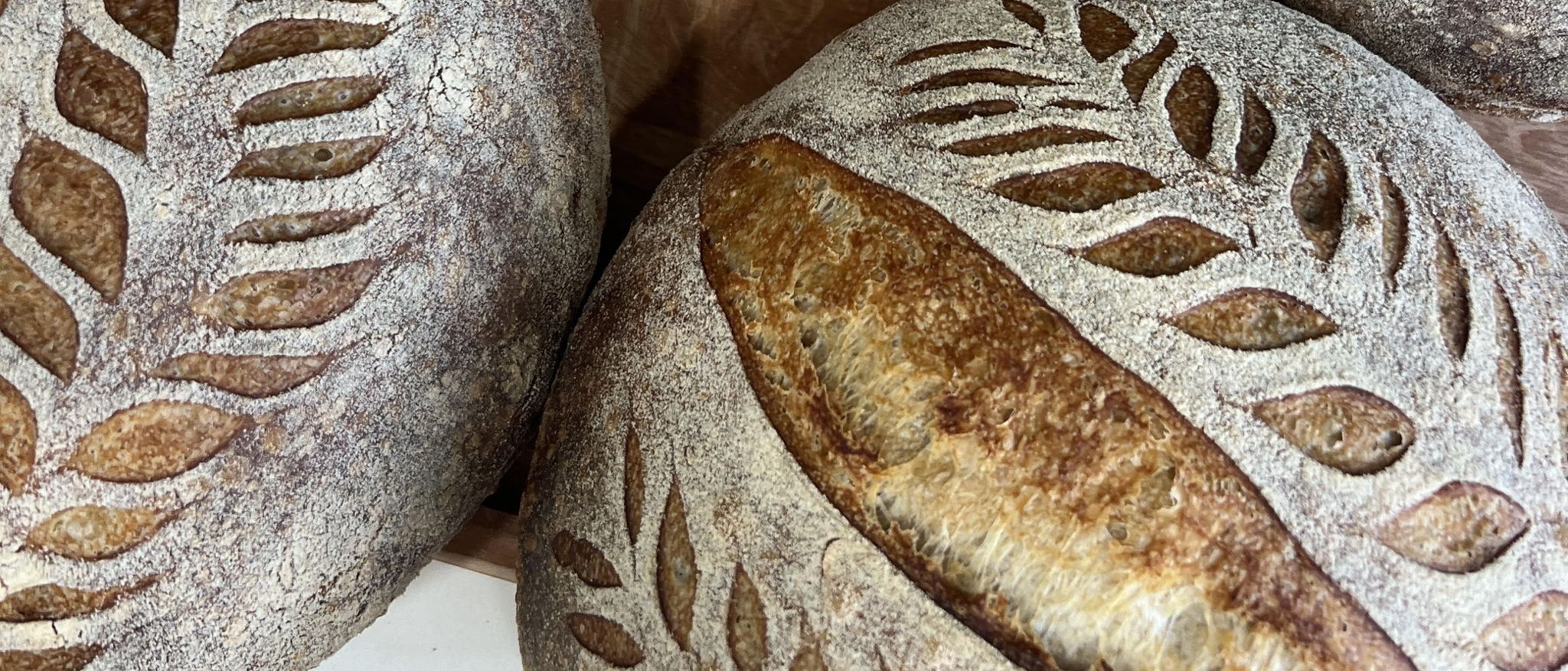 South Bay Sourdough | Organic bakery in Hermosa Beach — photo from hotplate.com