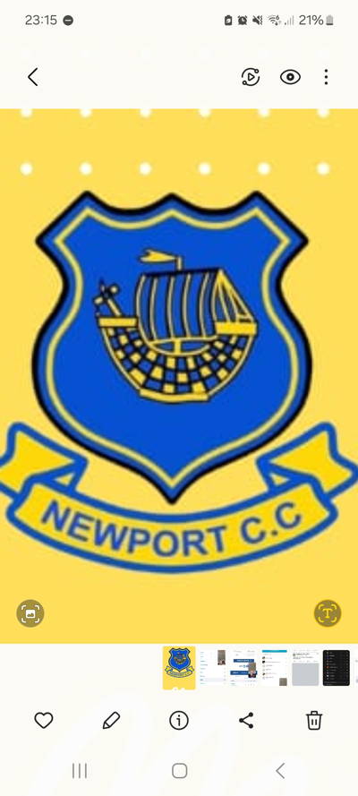 Newport cc Cricket Club Logo