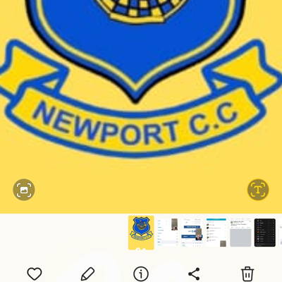 Newport cc Logo