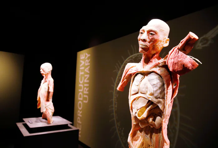 BODIESThe Exhibition Uploaded on 2021-12-14