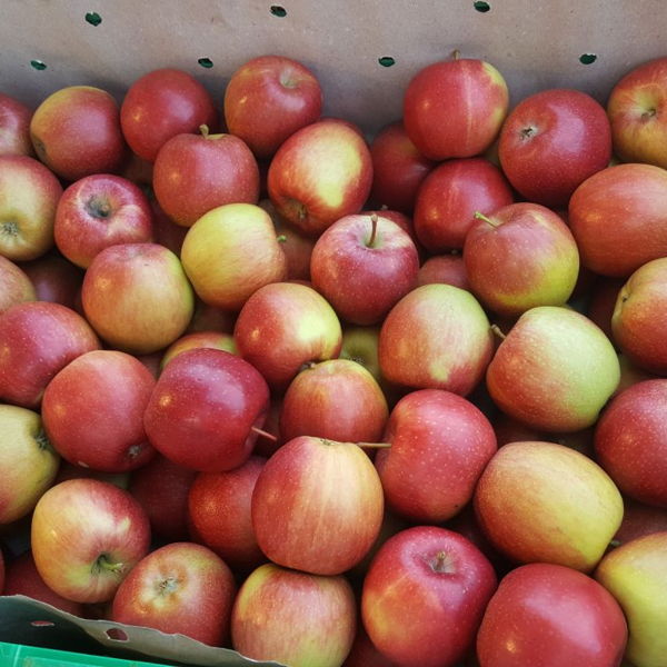petit-pomme-breaburn