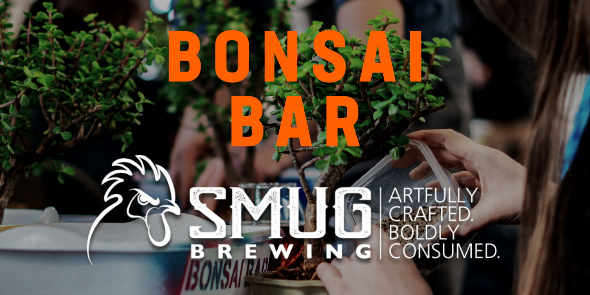 Bonsai Bar @ Smug Brewing promotional image
