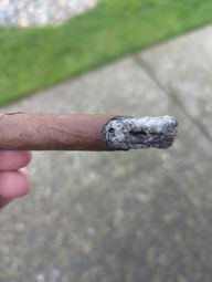 Cigar Session Photo