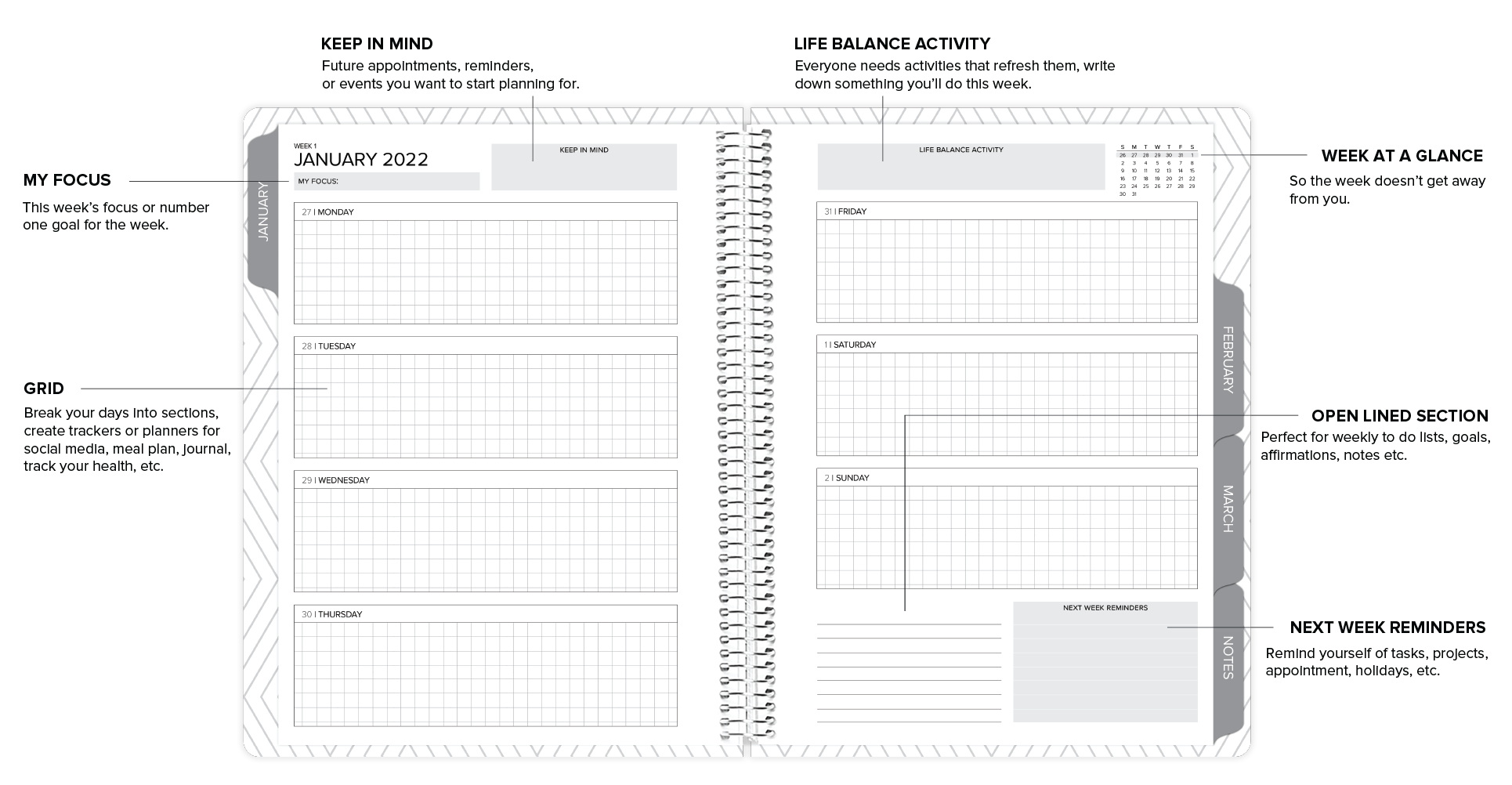 amplify planner weekly layout