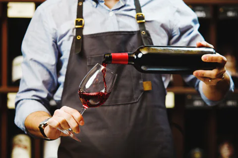 Slovakian Wine Tasting Experience