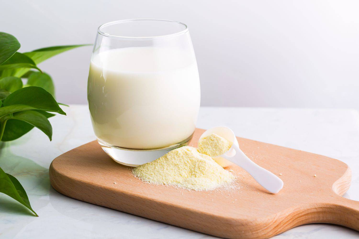 Full Cream Milk Powder