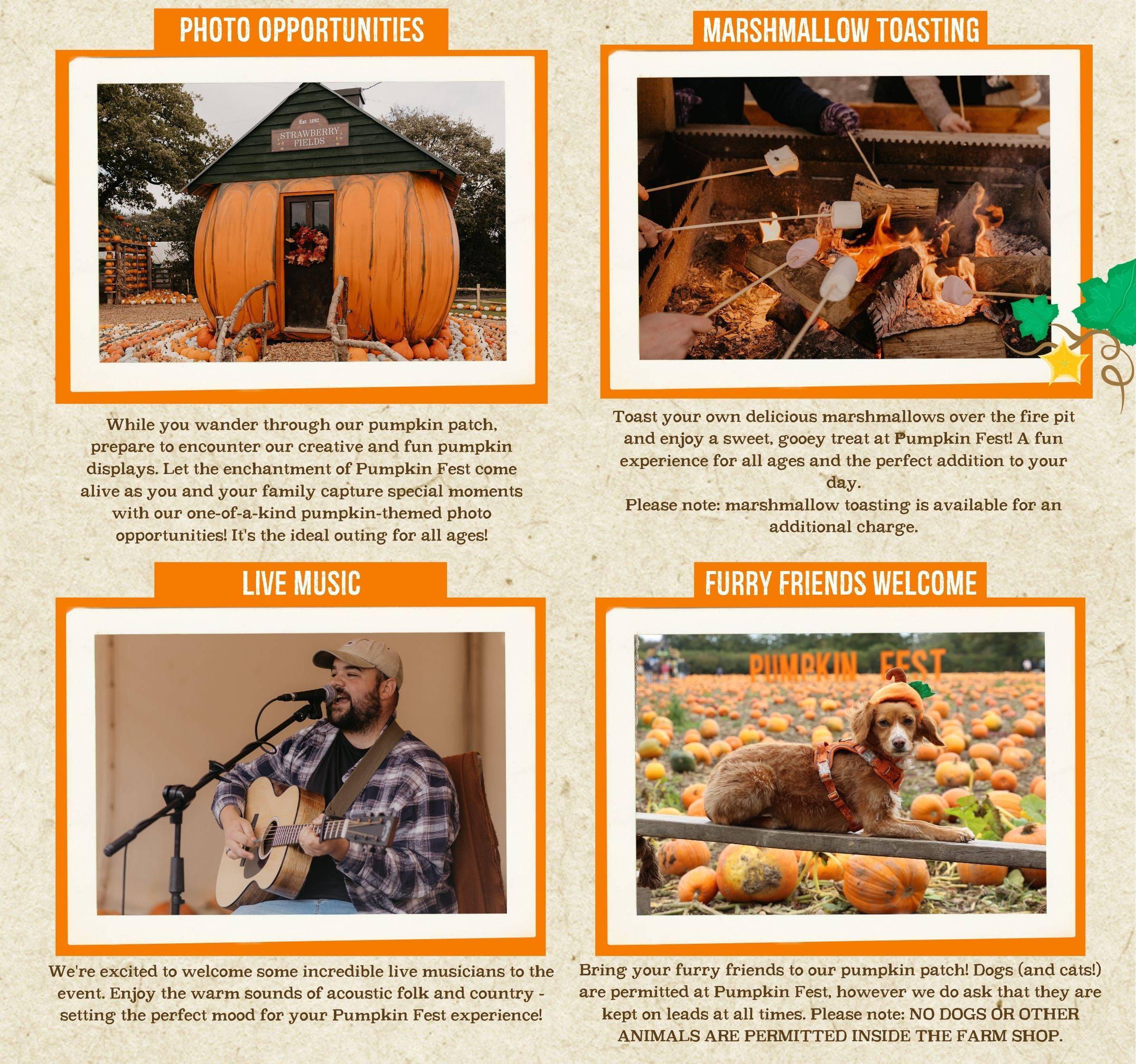 Discover the biggest and best pumpkin festival in Devon & Cornwall, and South West! Pumpkin Fest at Strawberry Fields is the ultimate family day out with a huge pumpkin patch, pumpkin picking, maize maze, barrel train rides, photo spots, tasty autumn treats & fun for all ages. Book now!