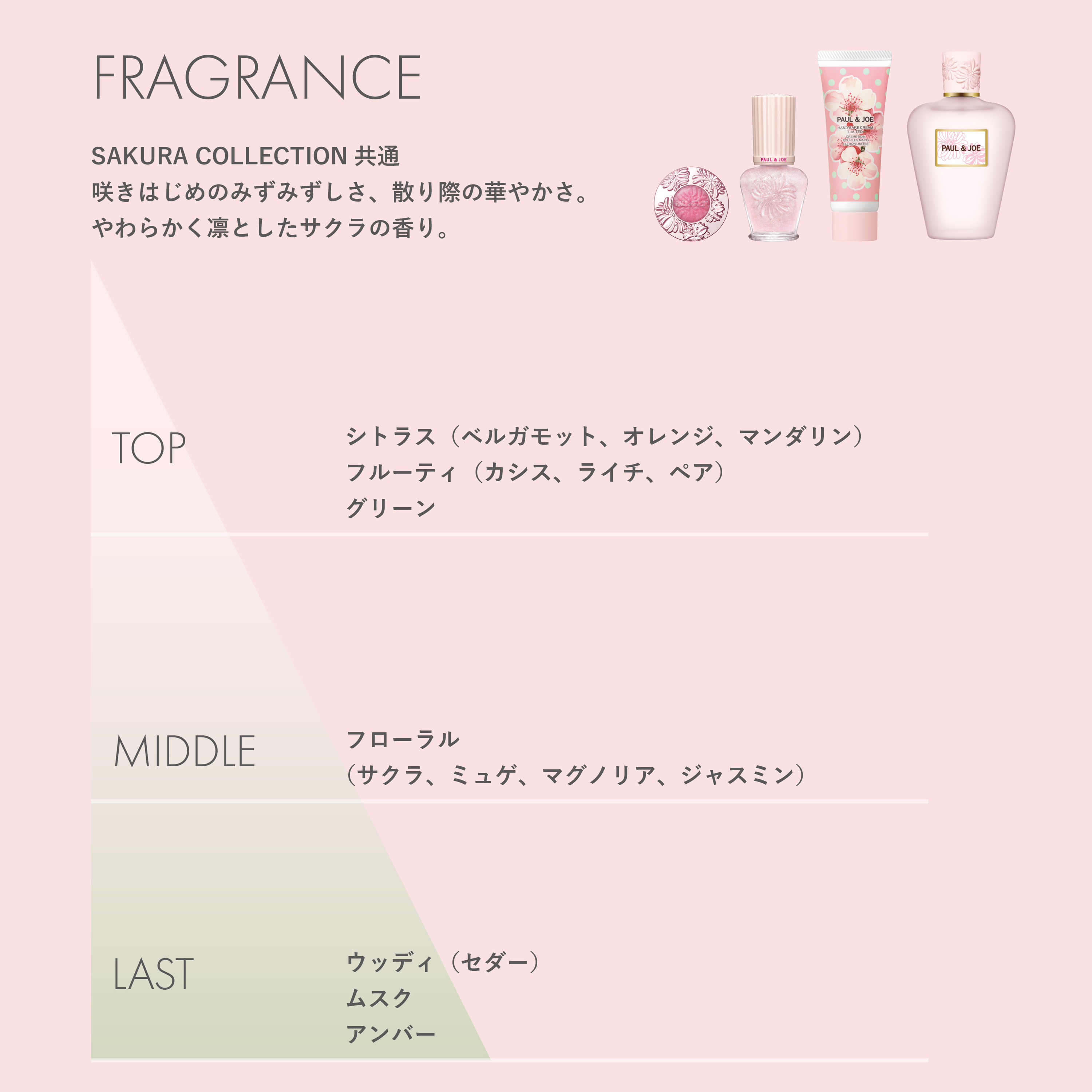 2026.02.01 SAKURA COLLECTION｜ポール ＆ ジョー公式オンラインストア