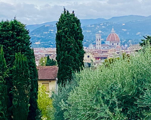 Food experiences Florence: Aperitif on a private terrace overlooking Florence
