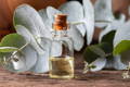 Benefits of Eucalyptus Oil