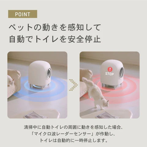 ポイント２