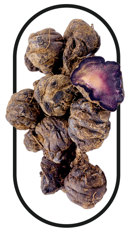 Several black maca, a key ingredient in the best tongkat ali singapore