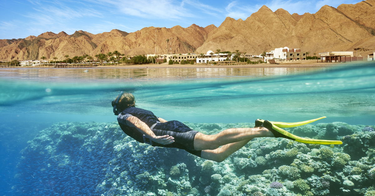 The best Red Sea tours in Egypt | Encounters Travel
