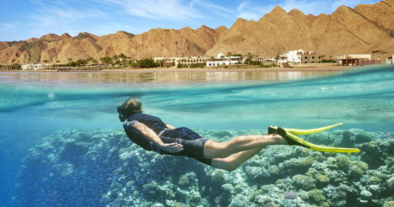 the-best-red-sea-tours-in-Egypt