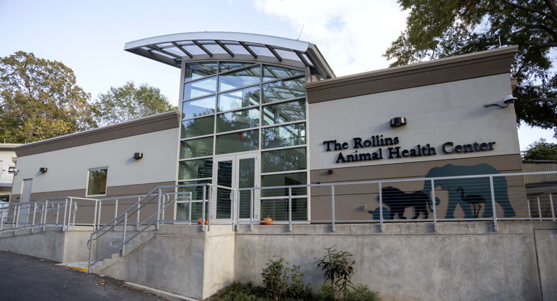 Rollins Animal Health Center Tour at the Zoo
