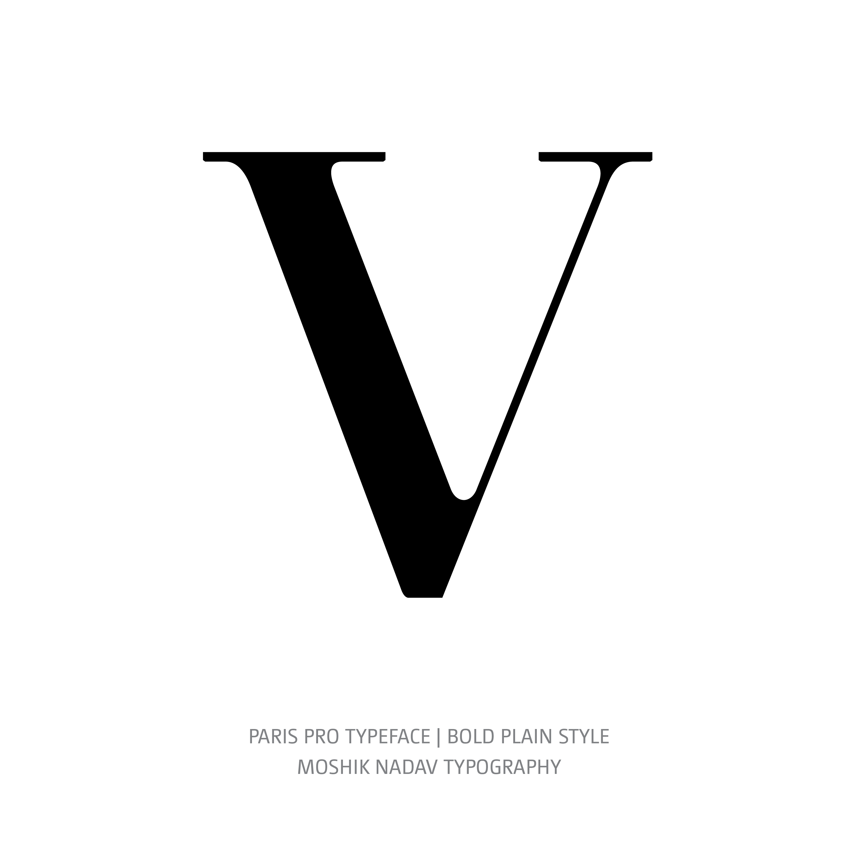 Paris Pro Typeface Bold Plain V