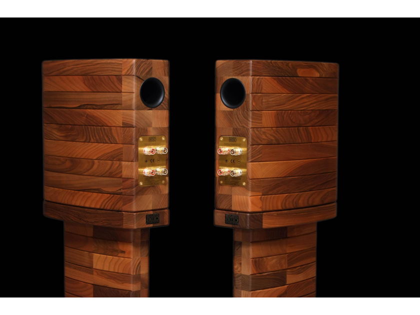 Acoustic Preference Gracioso 1.0 with Stands