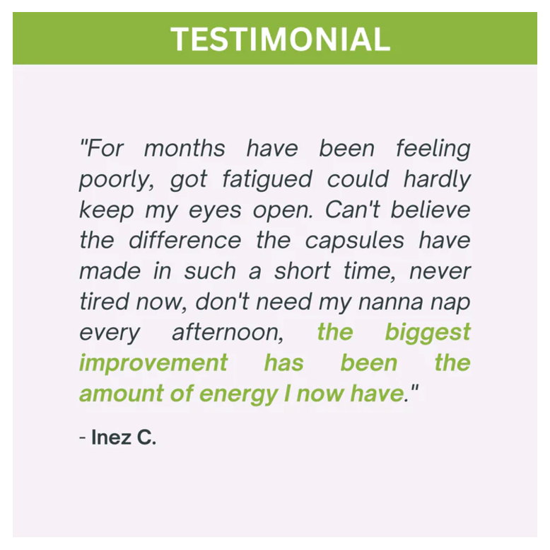 Organic Pure Moringa Leaf Powder - Image 5