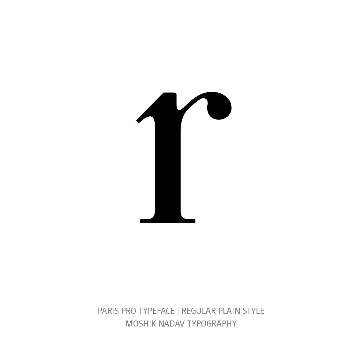 Paris Pro Typeface Regular Plain r