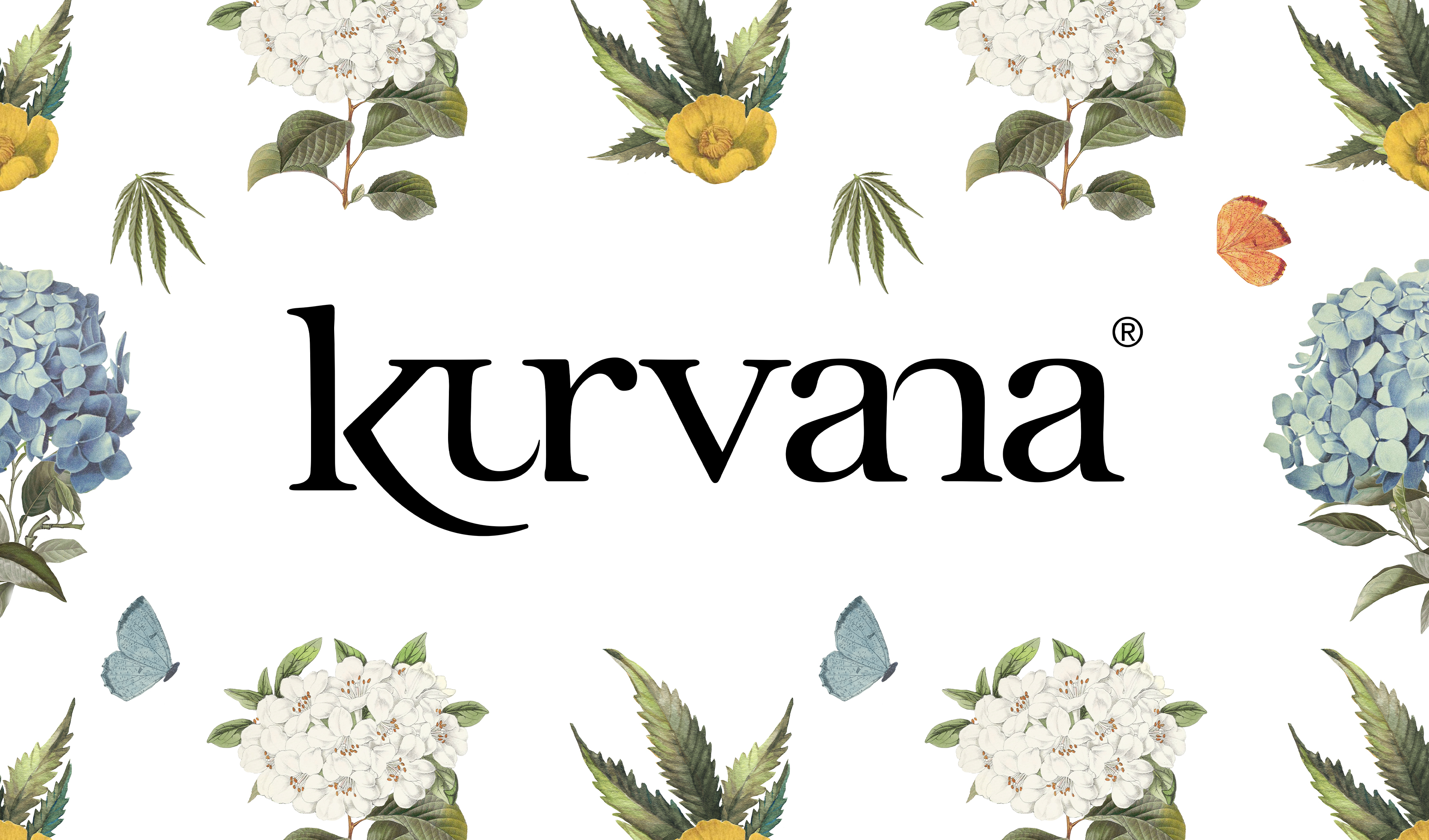 Brand banner image