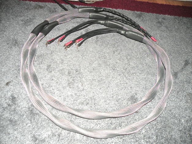 six foot bi-wired pair