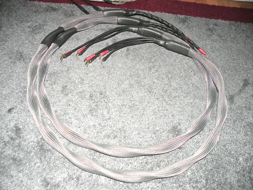 Synergistic Research Resolution Reference X2 6' bi-wired speaker cables