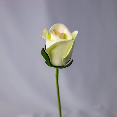 White/Pink Velveteen Rose Bud - Realistic Artificial Flowers - Image 3